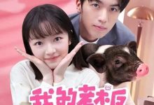 我的老板是小猪 (2024)✨【4K】【EDR.高码率】【12集完结】-夸克网盘吧