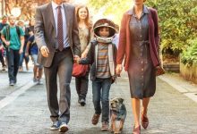 奇迹男孩 Wonder (2017)【Friday版本 1080P 英语中字 茱莉亚罗伯茨】-夸克网盘吧