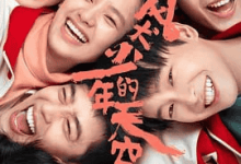 风犬少年的天空 (2020) 国语中字 1080P 全16集-夸克网盘吧