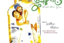 喜欢您 (2001) 1080P 国粤音轨 内封简繁-夸克网盘吧