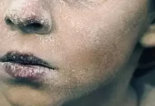 我眼中的阴影 (2021) 1080P 英语中字-夸克网盘吧