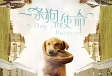 一条狗的使命 1-2部 BD1080p 中英双字-夸克网盘吧
