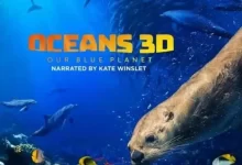 海洋：我们的蓝色星球 (2018) 4K REMUX (蓝光 原盘) 中字外挂字幕-夸克网盘吧