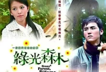 绿光森林 (2005) 1080P 国语中字 23集全-夸克网盘吧
