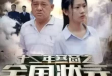 十二年寒窗之全国状元 (短剧)-夸克网盘吧