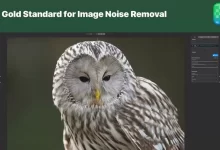 ON1 NoNoise AI 2024 for Mac v18.3摄影降噪软件-夸克网盘吧