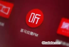 喜马拉雅/极速版 v9.0.41.9/v3.2.87.3 中国最大的音频分享平台，去广告解锁会员版-夸克网盘吧