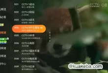 飞沙电视 1.0.136 (欧洲杯专线) 去广告去更新 VIP频道破解版-夸克网盘吧