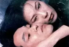 绿鱼 (1997) 1080P 韩语中字-夸克网盘吧