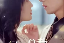 闪婚总裁都装穷 (短剧)-夸克网盘吧