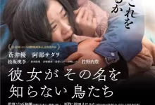 她不知道名字的那些鸟儿 (2017) 1080P 日语中字-夸克网盘吧