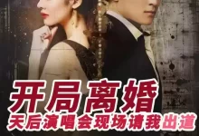 开局离婚天后演唱会现场请我出道 (短剧)-夸克网盘吧