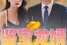 鉴宝龙婿 (短剧)-夸克网盘吧