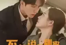 不能说的秘密 (短剧)-夸克网盘吧