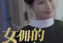 女佣的秘密 (短剧)-夸克网盘吧