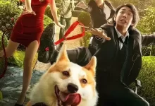 非常保镖 (2021) HD1080P 国语中字-夸克网盘吧