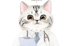 猫咪家庭医学大百科 [﻿生活时尚] [pdf+全格式]-夸克网盘吧