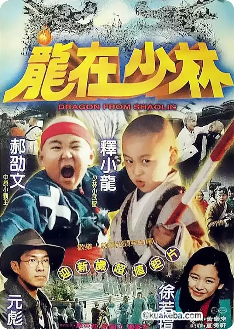 龙在少林 龍在少林 (1996)