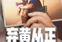 弃黄从正 第二季 (2024) 1080P 英语中字 全8集-夸克网盘吧