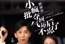 掀饭桌小疯批夺回气运后不忍了 (短剧)-夸克网盘吧