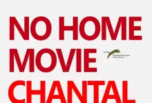 非家庭电影 (2015) 1080P 英语中字-夸克网盘吧