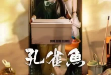 孔雀鱼 (2024) 4K 国语中字 全8集-夸克网盘吧