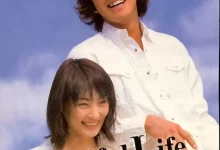 美丽人生 (2000) 1080P 日语中字 全11集-夸克网盘吧