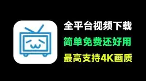 闪豆视频下载器 v4.0.0.0 安装版