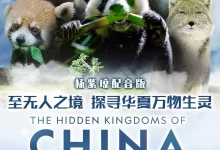 未至之境 (2019) 1080P 国语中字 全5集-夸克网盘吧