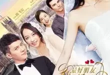 我最好朋友的婚礼 (2016) 1080P 国语中字-夸克网盘吧