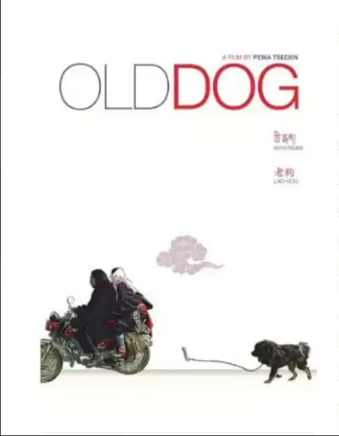 老狗 (2011) 1080P 国语中字