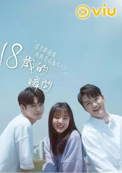 十八岁的瞬间.2019.韩剧.下载观看.1080P.韩语中字.全16集