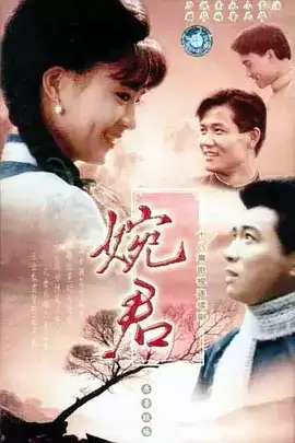婉君 (1990) 国语中字.1080P.全18集 [琼瑶剧]