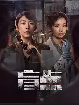 盲点.2025.全24集.4K高码.国语中字 [剧情/犯罪]