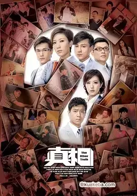 真相.2011.港剧.国语中字.全25集