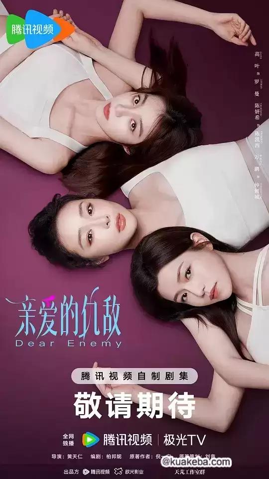 亲爱的仇敌.2025.国语中字.4K高码.高叶/陈妍希/袁弘