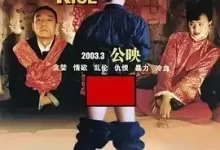 大鸿米店.2003.国语中字.陶泽如 / 石兰 / 杨昆-夸克网盘吧