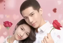 百岁之好，一言为定.2020.全28集.1080p.国语中字【王安宇/向涵之/林鹿】-夸克网盘吧