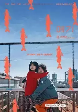 鲶鱼美琪.2018.韩语中字.1080P