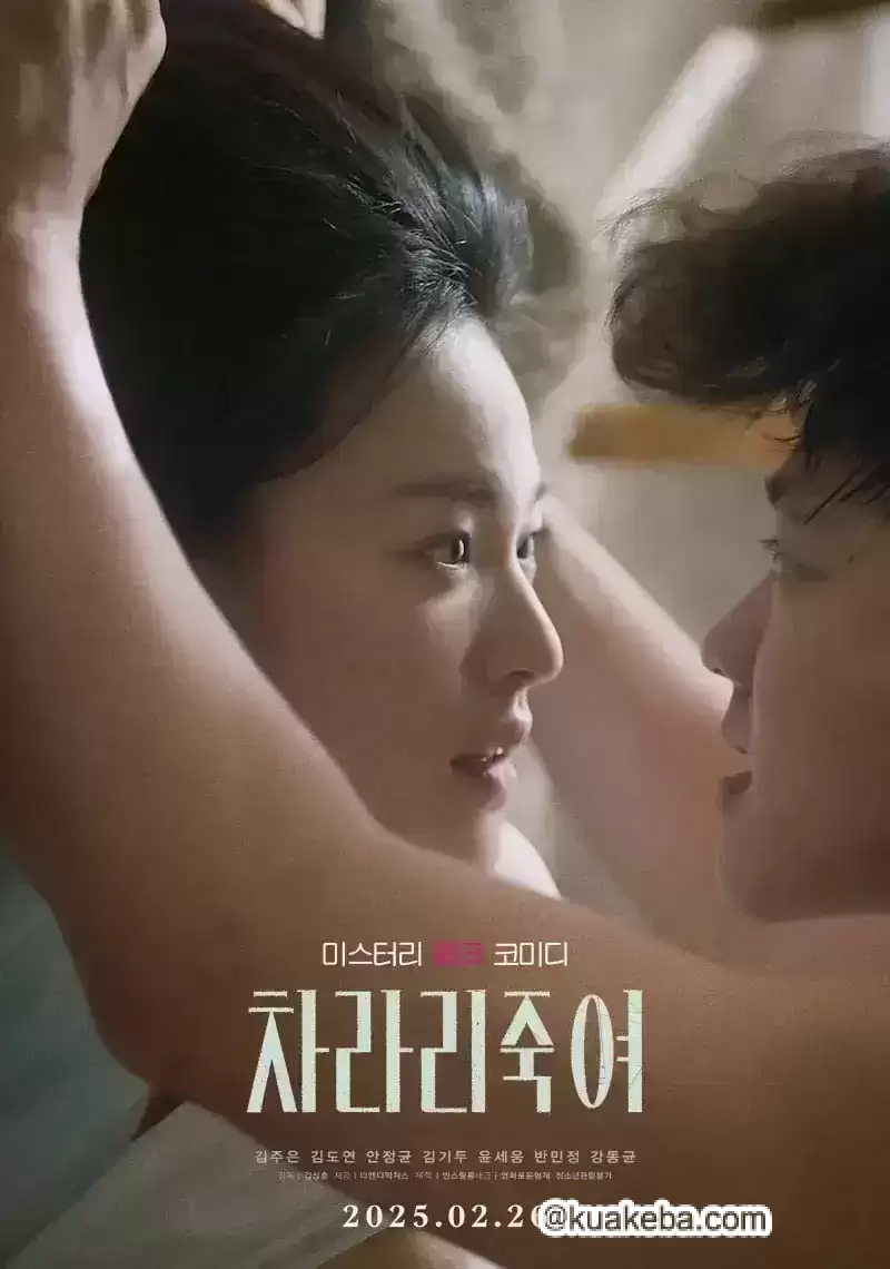 干脆杀了他算了.2025.HD1080P.韩语中字【安正均/金度妍/金基斗】