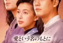 在爱的名义下.1992.全12集.1080P.日语中字-夸克网盘吧