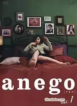 大姐头.2005.全10集.1080P.日语中字