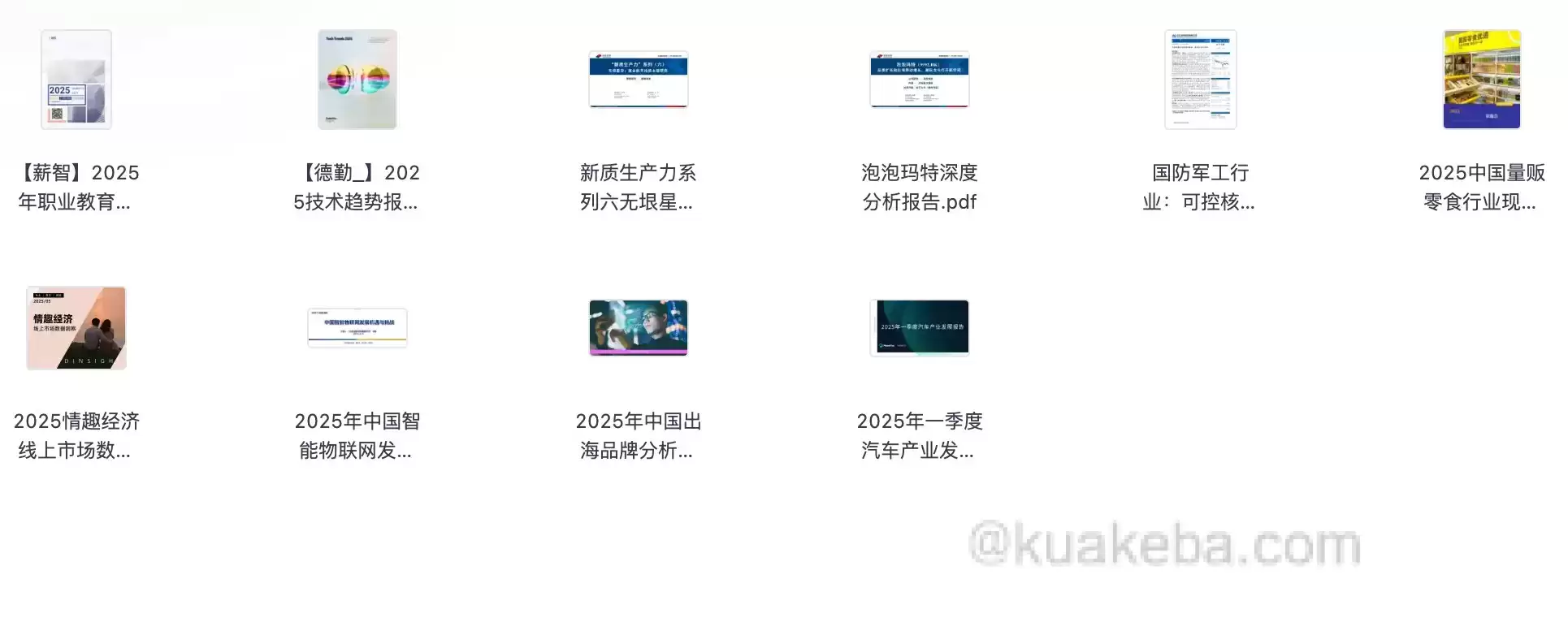 2025年行业报告.pdf格式