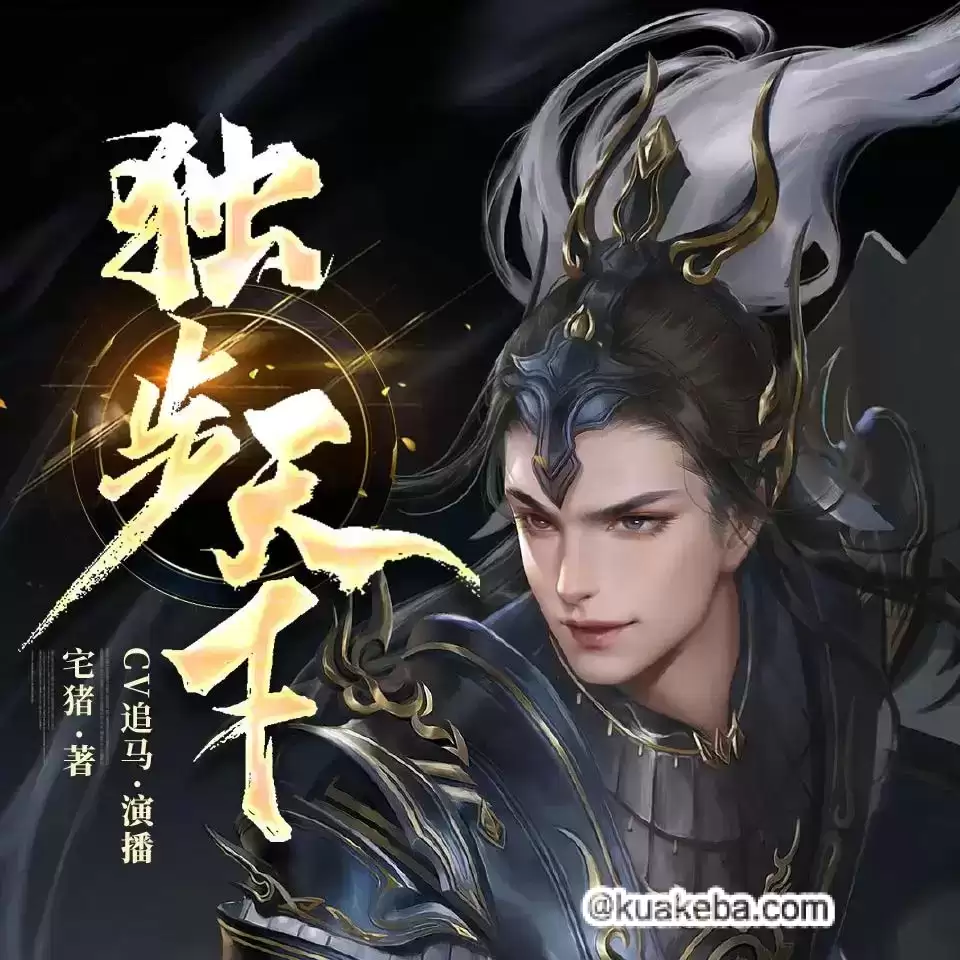 有声书-独步天下.全1330集完结.宅猪/追马
