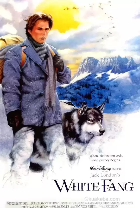雪地黄金犬.1991.1080P.中英双字