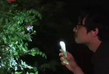 大自然对你说了什么.2025.HD1080P.韩语中字-夸克网盘吧