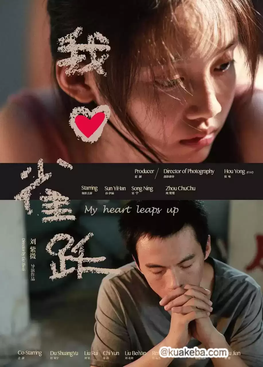 我心雀跃 (2016) 1080P.国语中字【孙伊涵/宋宁峰】