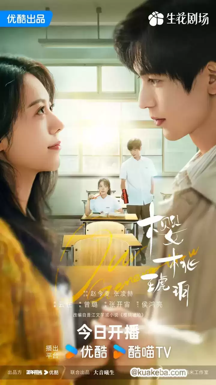 樱桃琥珀 (2025) 4K臻彩.国语中字【赵今麦/张凌赫/董洁/保剑锋/董璇】
