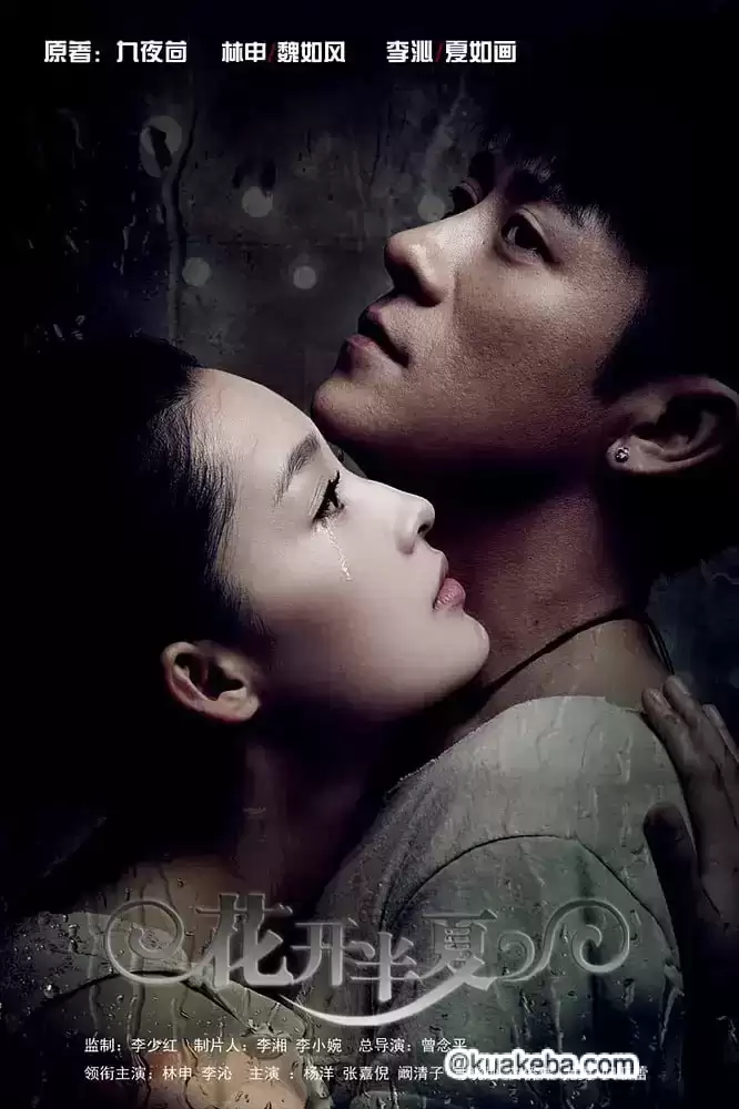 花开半夏 (2013) 国语中字.1080P.全30集
