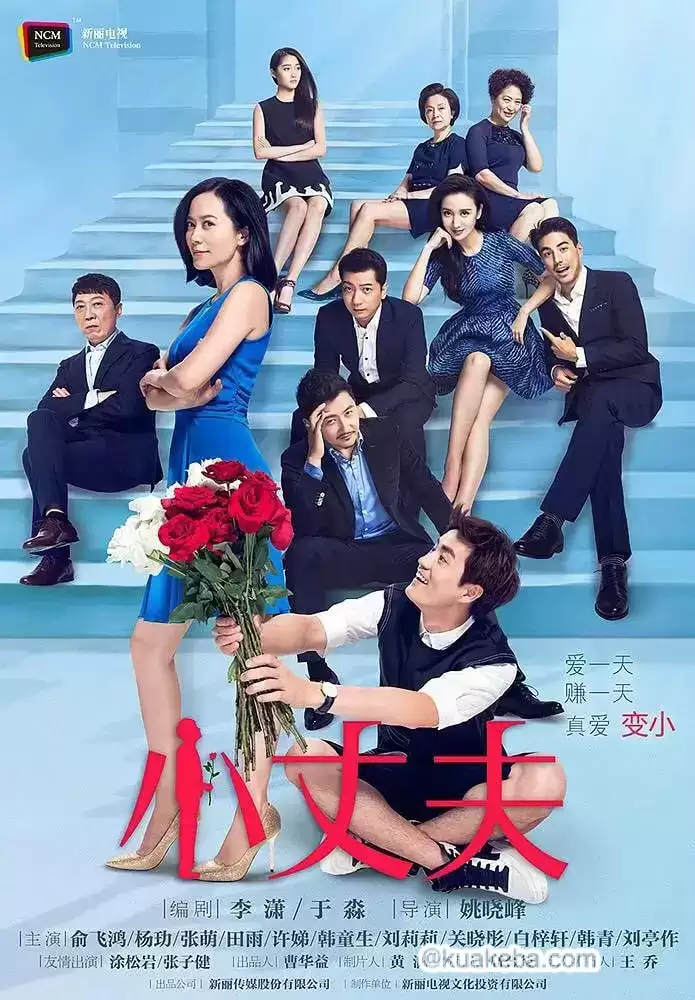 小丈夫 (2016) 国语中字.1080P.全43集